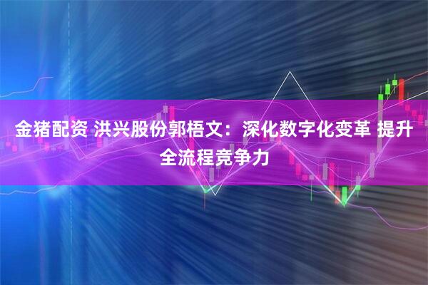 金猪配资 洪兴股份郭梧文：深化数字化变革 提升全流程竞争力