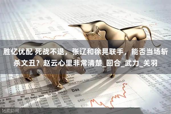 胜亿优配 死战不退，张辽和徐晃联手，能否当场斩杀文丑？赵云心里非常清楚_回合_武力_关羽