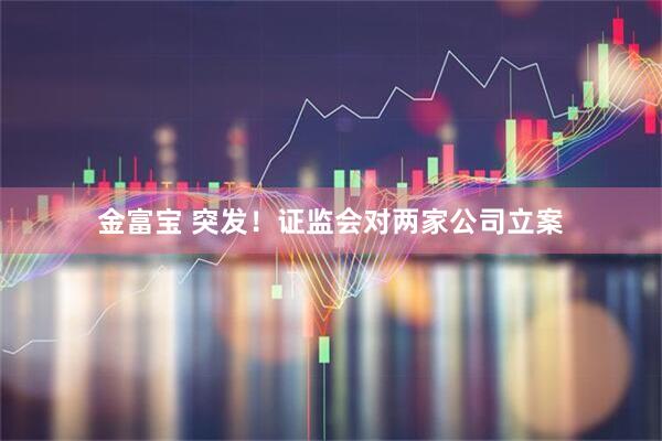 金富宝 突发！证监会对两家公司立案